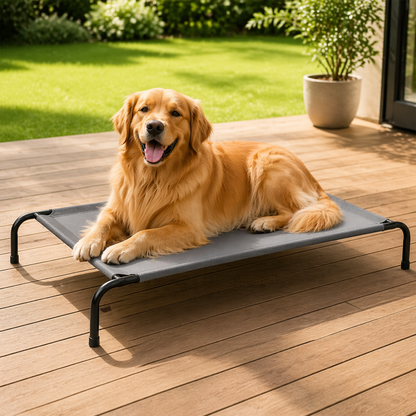 Elevated Dog Bed, Raised Pet Cot with Breathable Textilene Mesh & Powder-Coated Steel Frame, 50"x31"x8", Cooling & Non-Slip Outdoor/Indoor Bed for Large Dogs up to 80 lbs, Light Gray