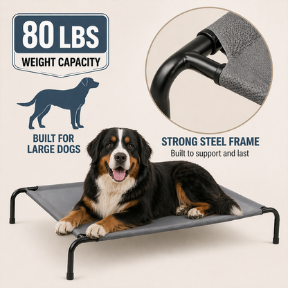 Elevated Dog Bed, Raised Pet Cot with Breathable Textilene Mesh & Powder-Coated Steel Frame, 50"x31"x8", Cooling & Non-Slip Outdoor/Indoor Bed for Large Dogs up to 80 lbs, Light Gray