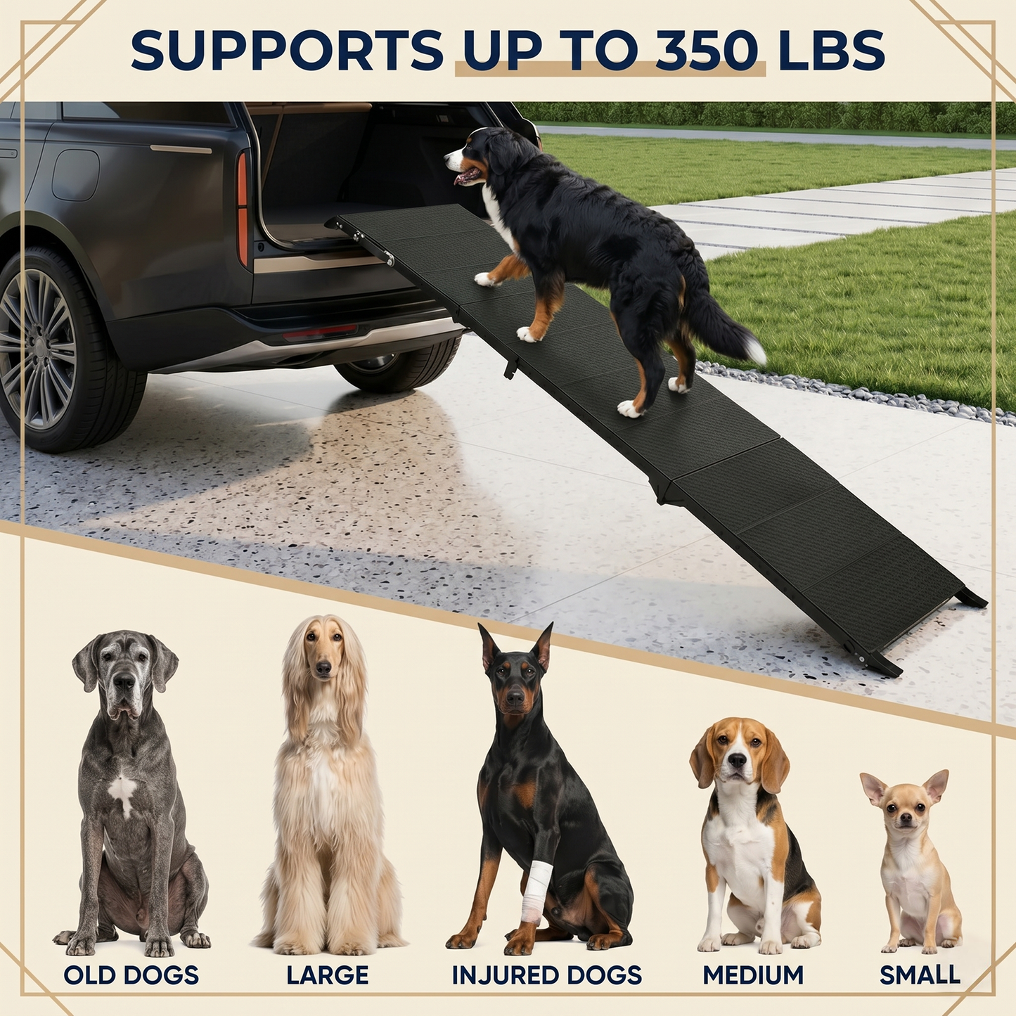71" Long Folding Dog Ramp for SUV, Truck & Car – Non-Slip Textured Surface, Supports 350 lbs | Portable Pet Ramp for Large Dogs & Senior Joint Relief